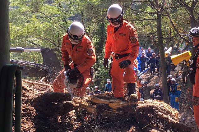 土砂立木除去作業の様子